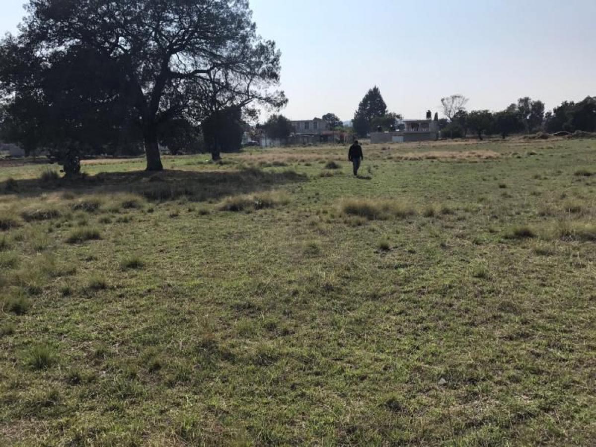  Land in Tecamac de Felipe Villanueva, Mexico No. 203309