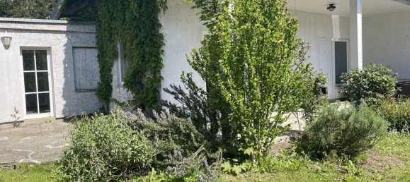 4 rooms Bungalow in Klosterneuburg, Austria No. 139249 26