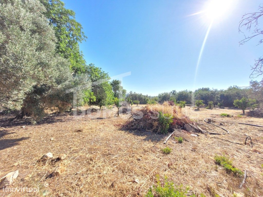 Terreno en Loule, Portugal 4449 m² No. 319134