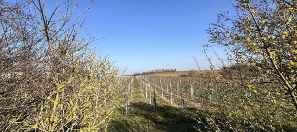 Casa de 5 dormitorios en Heilbronn, Germany No. 319572 7