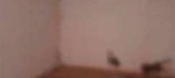 1 Schlafzimmer Wohnung in Robecchetto con Induno, Italy, Nr. 373949 3