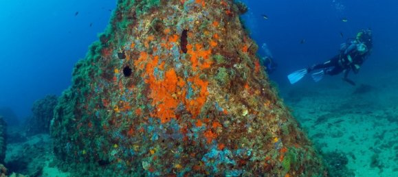 3 bedrooms Apartment in Aguilas, Spain No. 6076 12