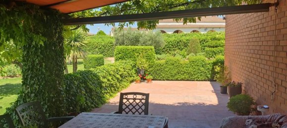 4 غرف نوم منزل في El Molar, Spain رقم 141278 3