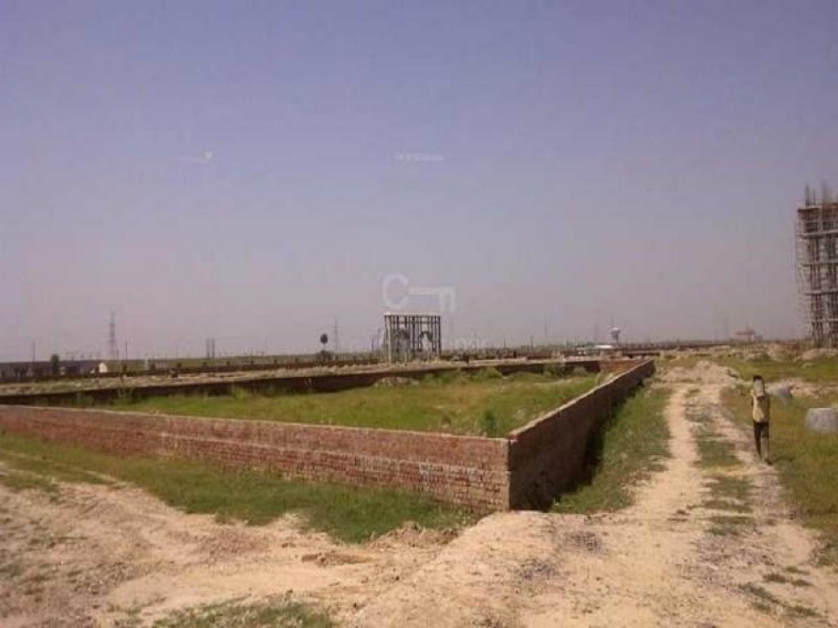  Land in Mohali, India No. 40063
