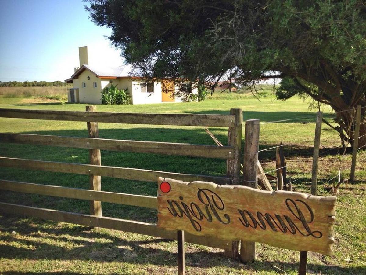 2 bedrooms House in Mar del Plata, Argentina No. 101065