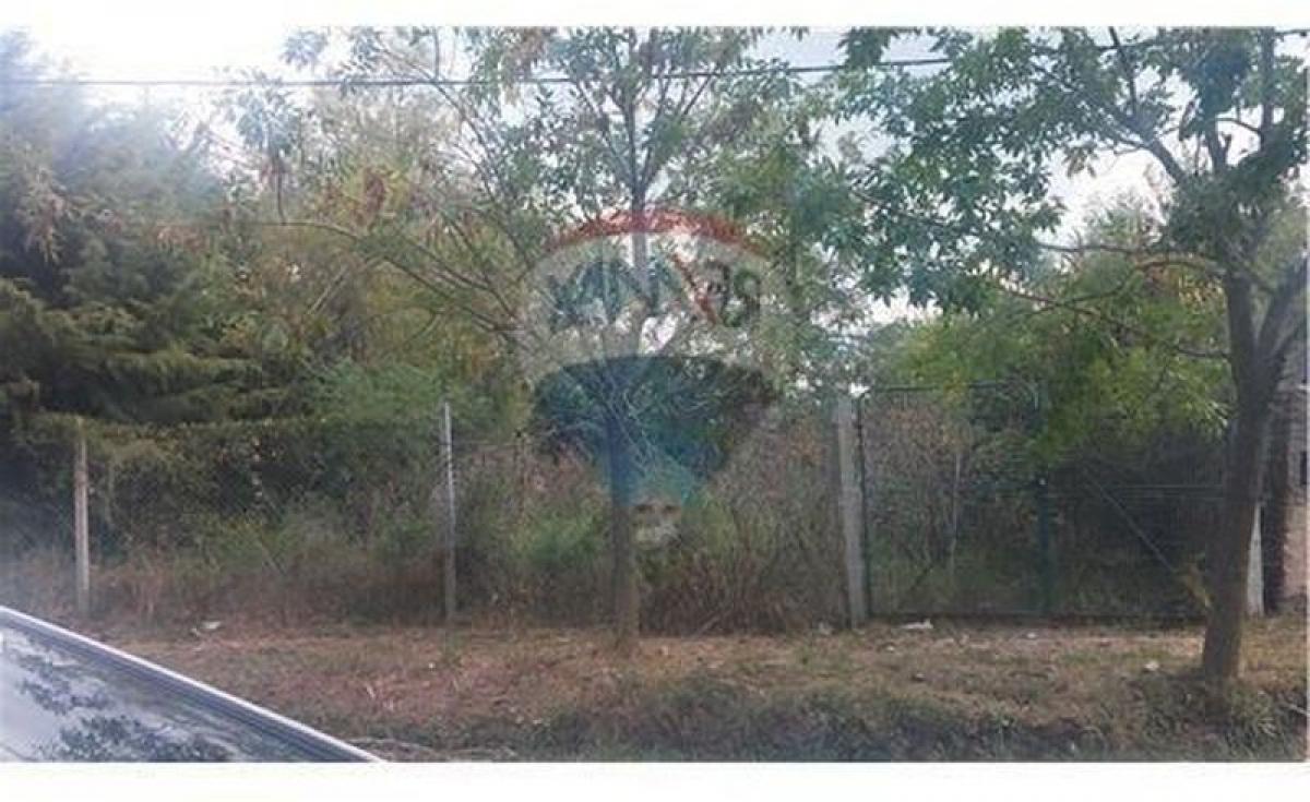 Terrain à Campo Creado, Argentina No. 34991