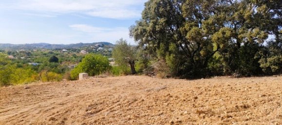 6 bedrooms House in Sao Bras de Alportel, Portugal No. 48844 12