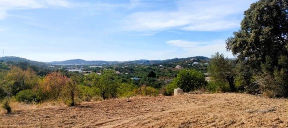 6 bedrooms House in Sao Bras de Alportel, Portugal No. 48844 13