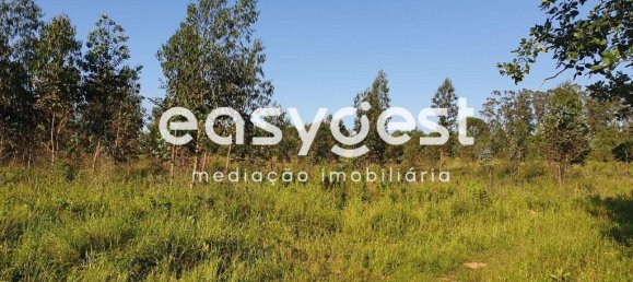 Grundstück in Vila Nova de Ancos, Portugal 84200m², Nr. 90904 2