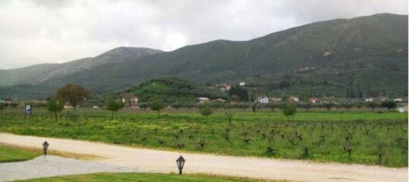 4 dormitorios hotel en venta en Zakynthos, Ionian Islands, Peloponnese, Western Greece and the Ionian, Greece № 643 2