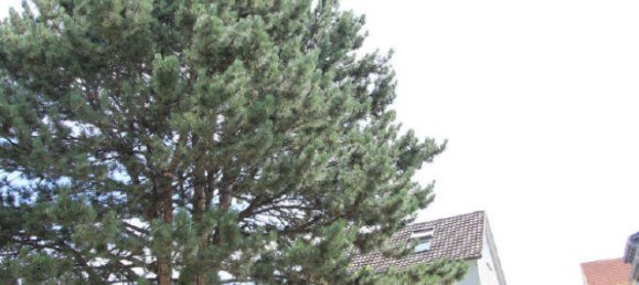 4 rooms Townhouse in Ravensburg, Germany No. 276838 19