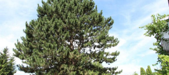 4 rooms Townhouse in Ravensburg, Germany No. 276838 17