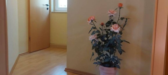 Casa de 4 habitaciónes en Mecklenburgische Seenplatte, Germany No. 177276 12