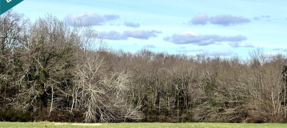 Grundstück in Charente-Maritime, France 9144m², Nr. 325985 2