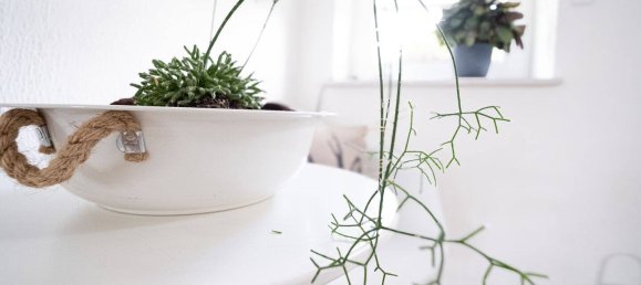 5 bedrooms House in Wesermarsch, Germany No. 351674 41