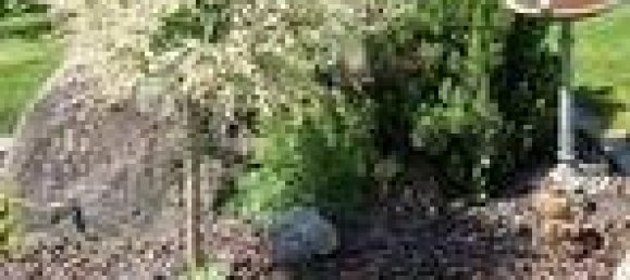 6-Zimmer Haus in Walding, Austria, Nr. 223555 43