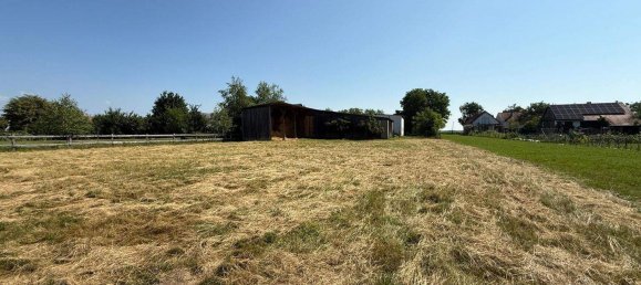 4-Zimmer Haus in Moschendorf, Austria, Nr. 131576 33