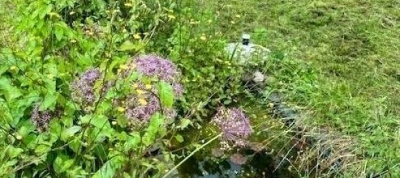 4 Schlafzimmer Haus in Cochem-Zell, Germany, Nr. 333710 18