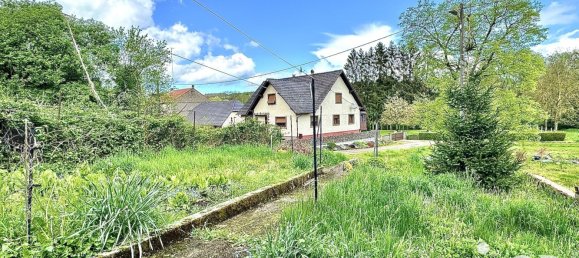 4 Schlafzimmer Haus in Diemeringen, France, Nr. 65449 9