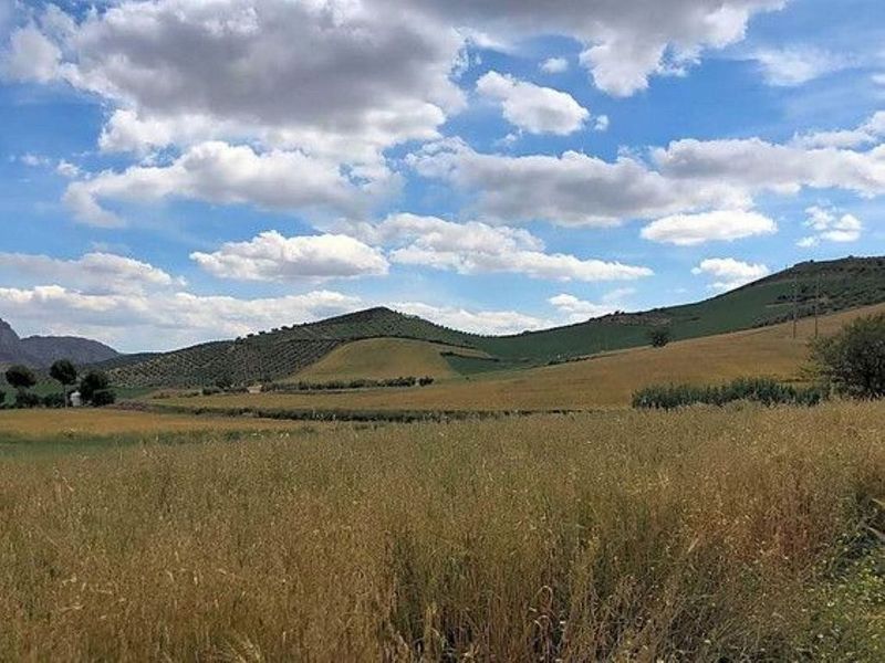 64390m² Land in Antequera, Spain No. 222967