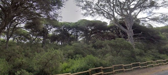 5 bedrooms House in Almada, Portugal No. 143779 2