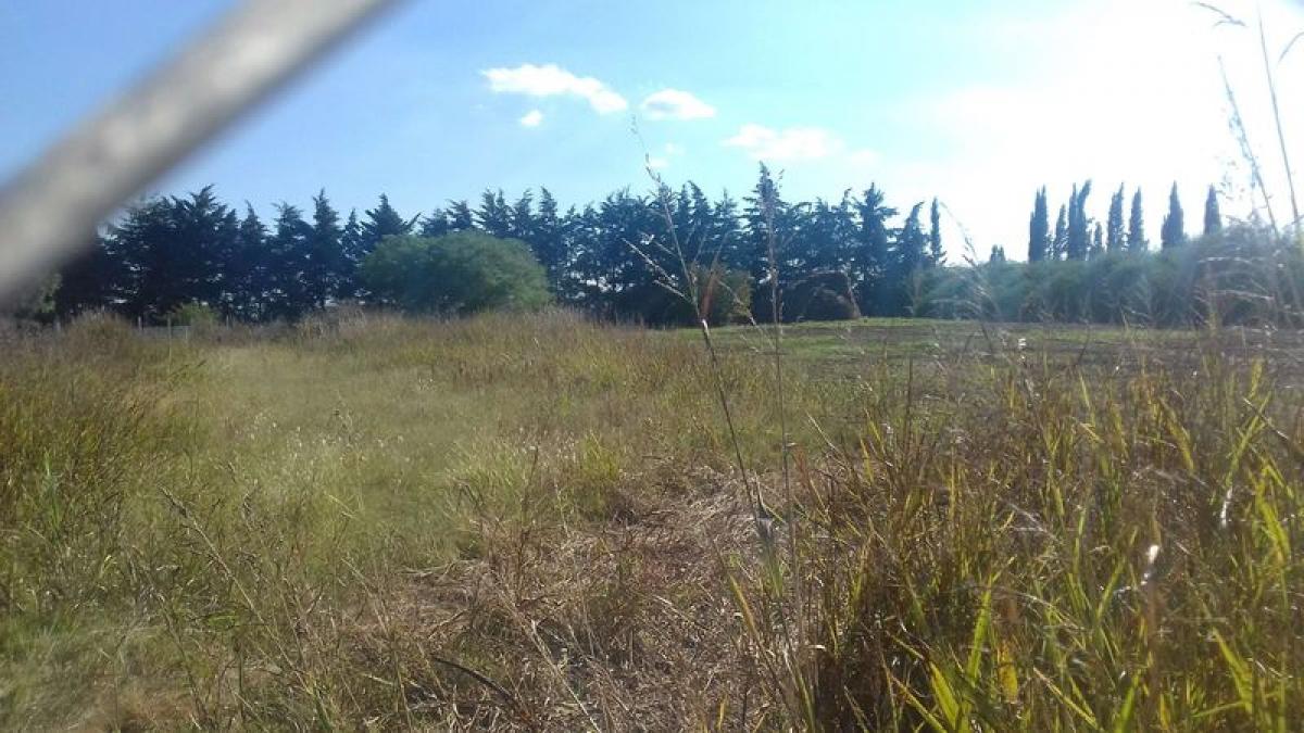  Land in Cordoba, Argentina No. 49968