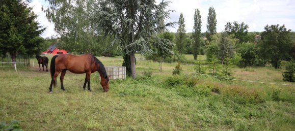 Casa de 6 dormitorios en Friesen, France No. 64521 2