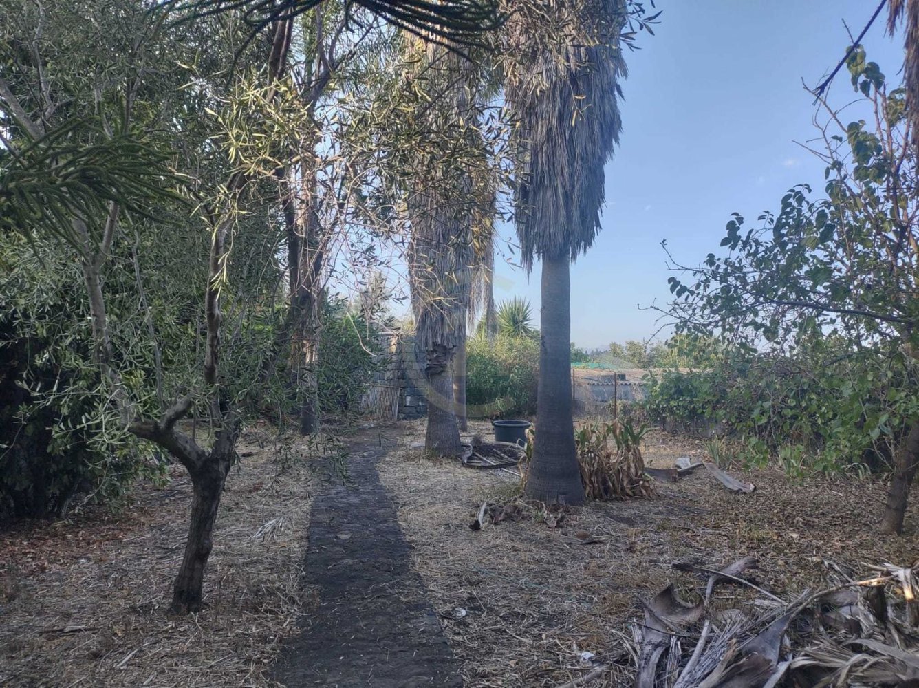 Casa de 5 dormitorios en Santa Venerina, Italy No. 342053