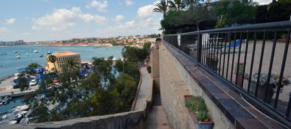 7 Schlafzimmer Villa in Cabo Roig, Spain, Nr. 441 3