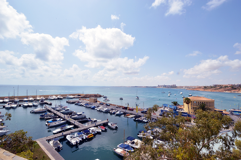 7 Schlafzimmer Villa in Cabo Roig, Spain, Nr. 441