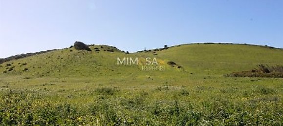 Terrain à Vila do Bispo, Portugal 35040m² No. 33597 4