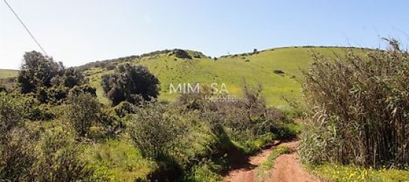 Terrain à Vila do Bispo, Portugal 35040m² No. 33597 5