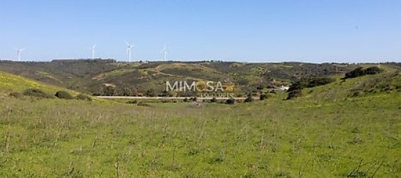 Terrain à Vila do Bispo, Portugal 35040m² No. 33597 14