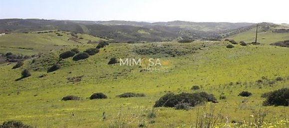 Terrain à Vila do Bispo, Portugal 35040m² No. 33597 8