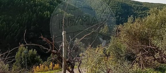 1 bedroom House in Alvaro, Portugal No. 179496 15