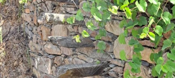 1 bedroom House in Alvaro, Portugal No. 179496 16