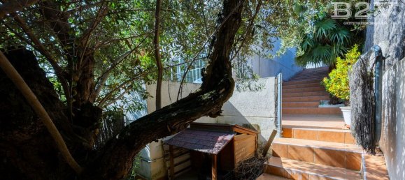 3 bedrooms House in Guadalix de la Sierra, Spain No. 156501 10