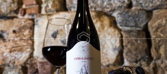 63m² Commercial property in Pisa, Italy No. 381754 4