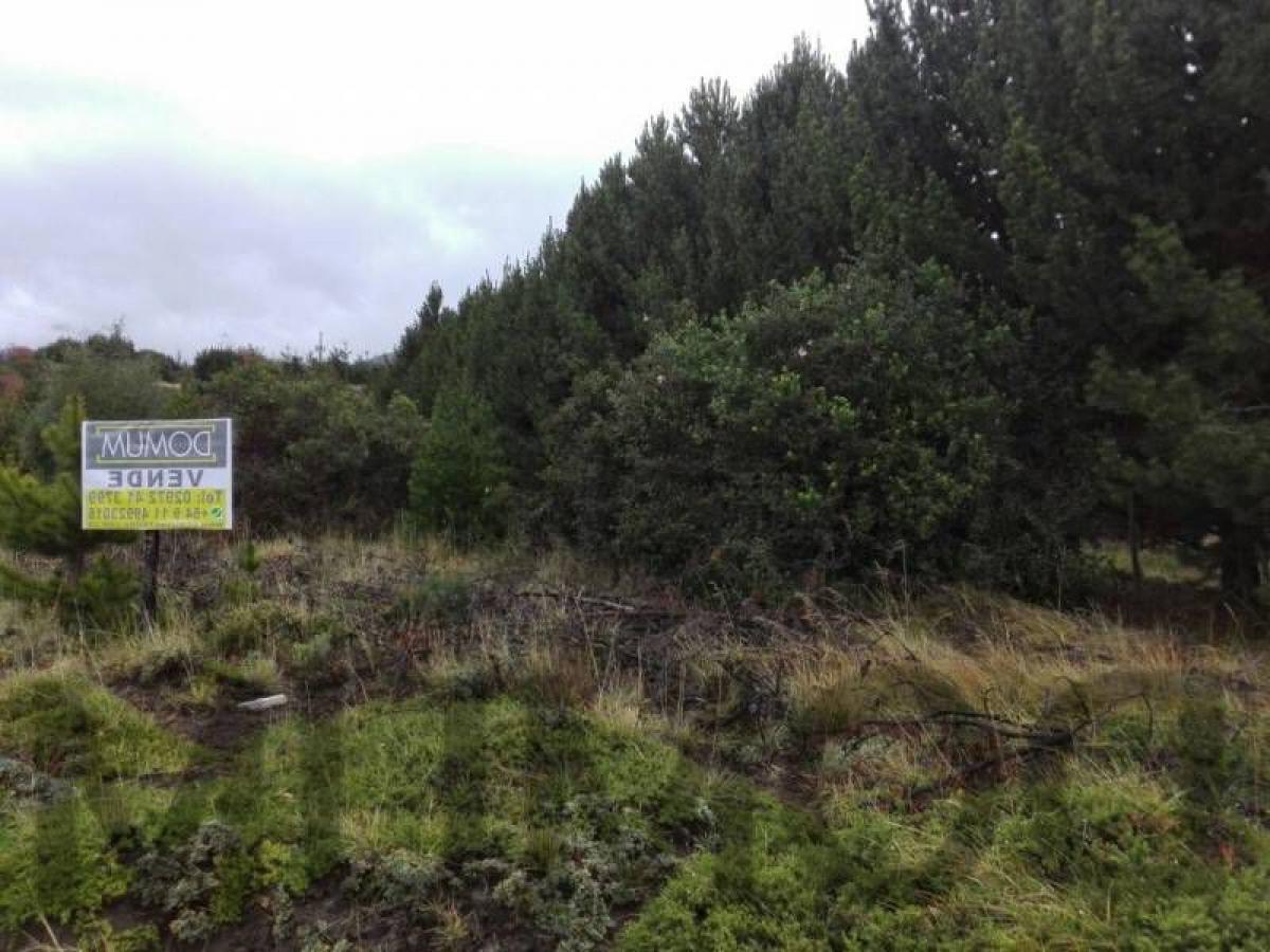  Land in Neuquen, Argentina No. 35327