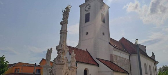 8 rooms House in Enzersdorf an der Fischa, Austria No. 244369 12