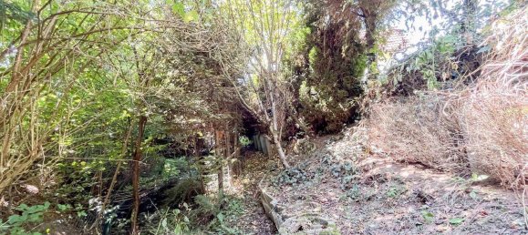 1 bedroom House in Neustadt an der Waldnaab, Germany No. 294106 8