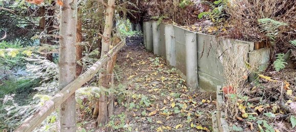 1 bedroom House in Neustadt an der Waldnaab, Germany No. 294106 9