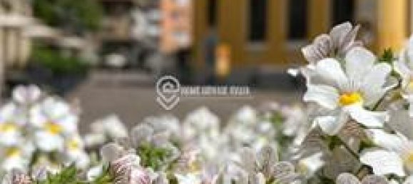 2-salle Propriété commerciale à Rovereto, Italy No. 364190 2