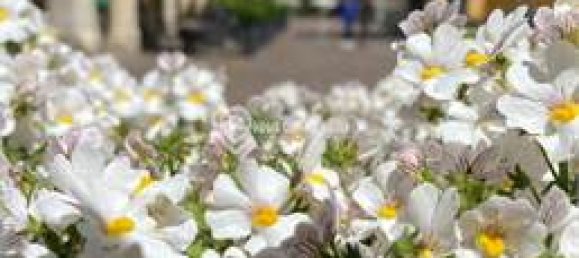 2-salle Propriété commerciale à Rovereto, Italy No. 364190 10