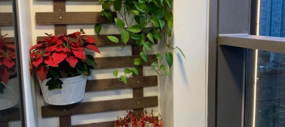 3 bedrooms Apartment in Binh Thanh, Vietnam No. 18243 5