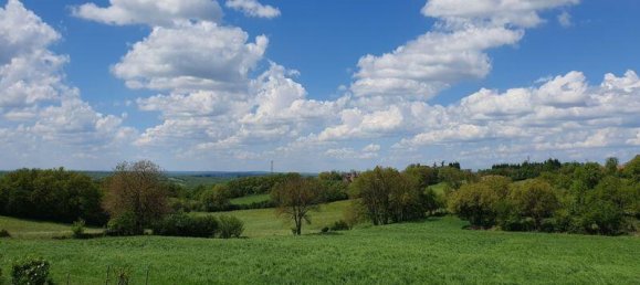 3 bedrooms Castles in Villeneuve, France No. 288496 4