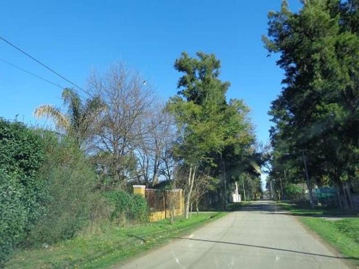 Grundstück in Pilar, Argentina, Nr. 43170