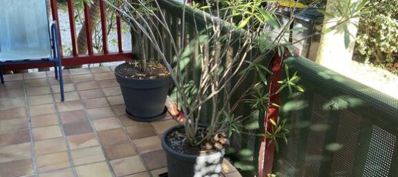 4 chambres Maison à Hendaye, France No. 330465 9