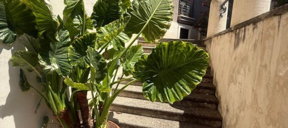 3 bedrooms Apartment in Rome, Italy No. 321560 29