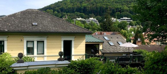 11-Zimmer Villa in Hinterbrühl, Austria, Nr. 113581 13